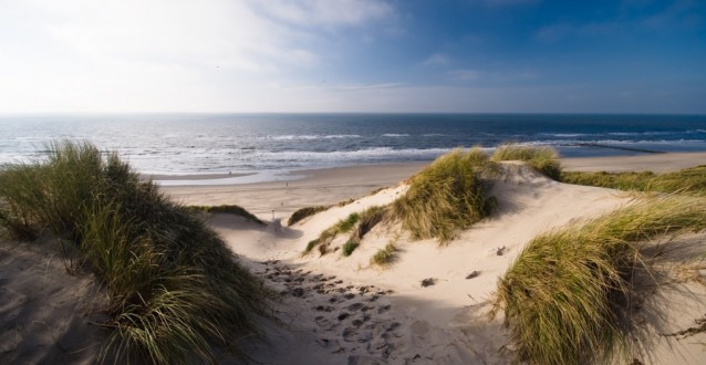 Dünen und Strand von Egmond aan Zee